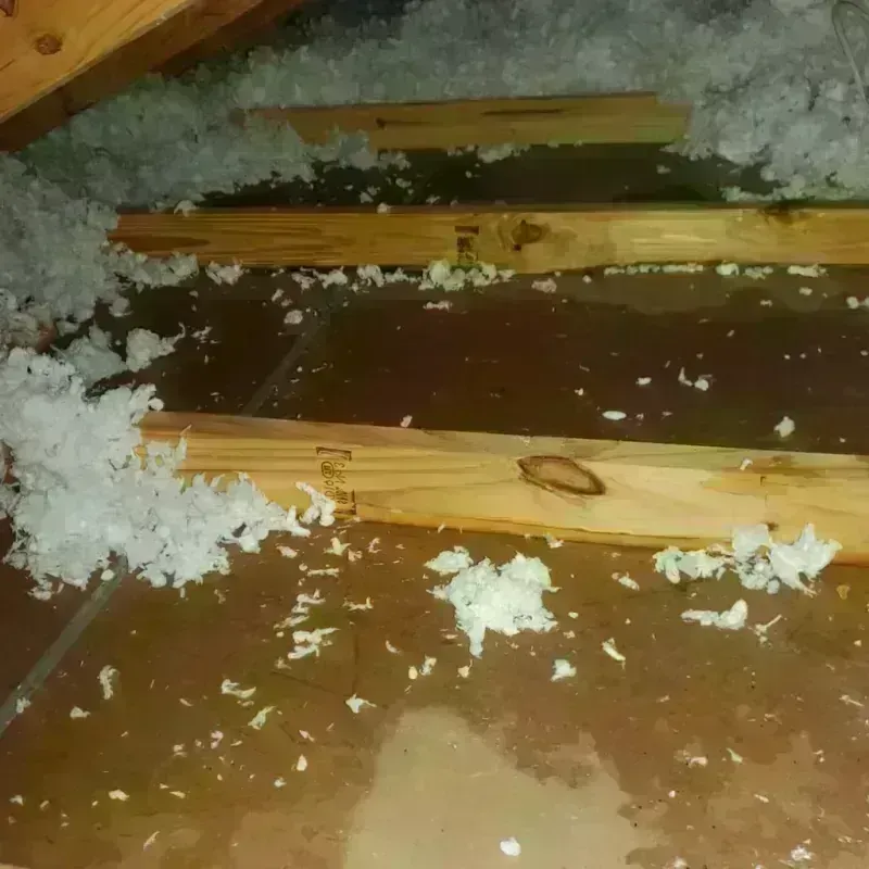 Attic Water Damage in Henderson County, TX