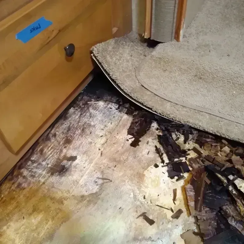 Wood Floor Water Damage in Henderson County, TX